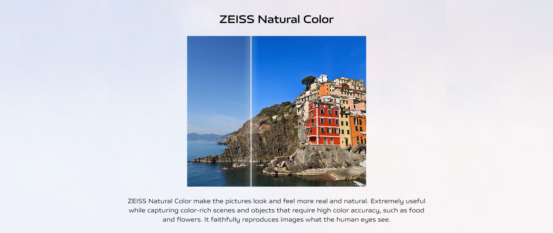 ZEISS Natural Color