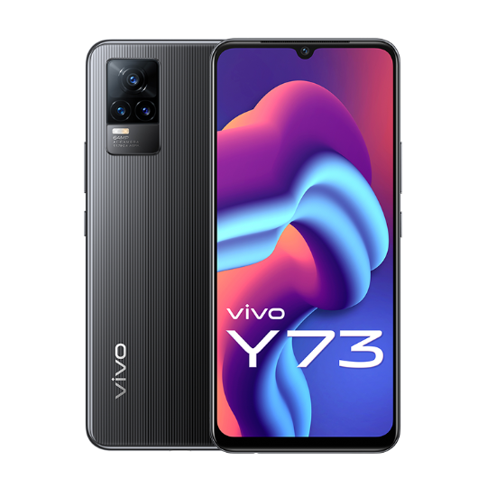 Vivo Y73 Launched Vivo India Estore